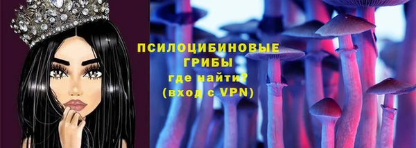 спиды Бронницы