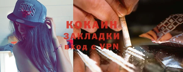 ГАЛЛЮЦИНОГЕННЫЕ ГРИБЫ Богданович
