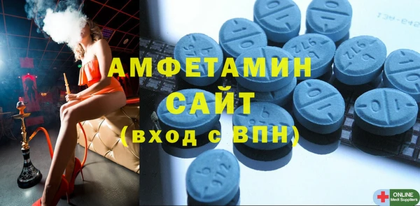 ГАЛЛЮЦИНОГЕННЫЕ ГРИБЫ Богданович