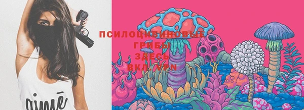 ГАЛЛЮЦИНОГЕННЫЕ ГРИБЫ Богданович