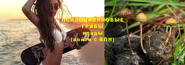 прущая мука Богородицк