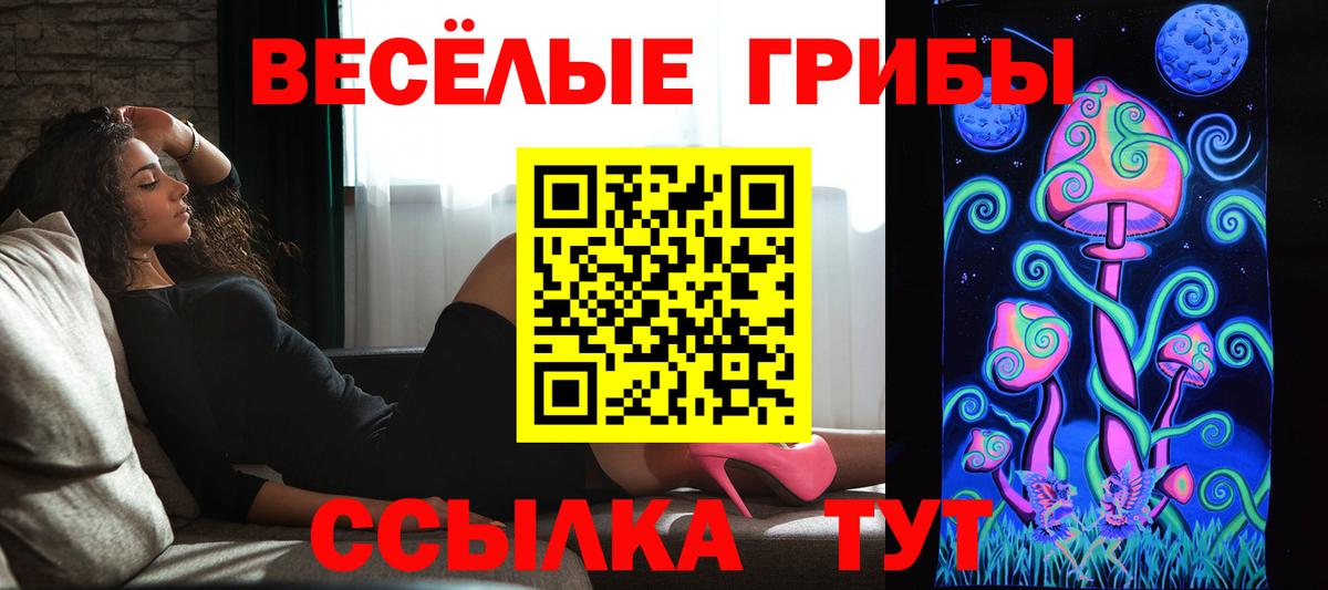 Саяногорск  Псилоцибиновые грибы Cubensis  Псилоцибиновые грибы прущие грибы  Вход с VPN 