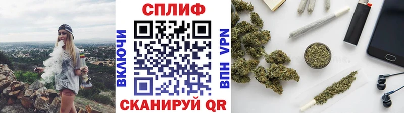 Каннабис сатива Саяногорск